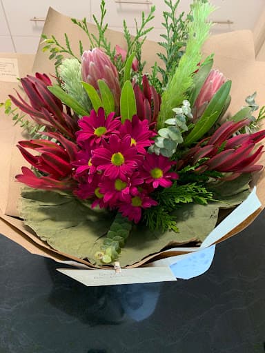 Alex Mandry Family Lawyers Sunshine Coast — Customer photo